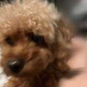 ヒメ日記 2025/10/29 15:22 投稿 ★柊れん★ CLUB39（クラブサンキュー）