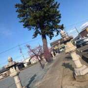 ヒメ日記 2025/04/12 19:16 投稿 ひなの 埼玉熊谷ちゃんこ