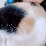 ヒメ日記 2025/09/05 14:36 投稿 みなみ 人妻熟女奉仕倶楽部