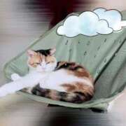 ヒメ日記 2025/11/01 17:10 投稿 みなみ 人妻熟女奉仕倶楽部