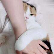 ヒメ日記 2025/11/03 12:20 投稿 みなみ 人妻熟女奉仕倶楽部