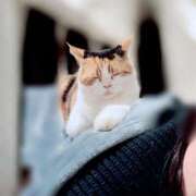 みなみ 嬉しいサプライズ🐱ᩚ 人妻熟女奉仕倶楽部