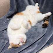 ヒメ日記 2026/03/23 12:20 投稿 みなみ 人妻熟女奉仕倶楽部