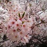 みなみ ㊗️ 人妻熟女奉仕倶楽部