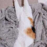 ヒメ日記 2026/04/21 12:20 投稿 みなみ 人妻熟女奉仕倶楽部