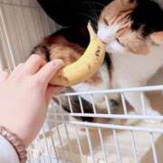 ヒメ日記 2026/06/14 10:20 投稿 みなみ 人妻熟女奉仕倶楽部