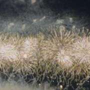 ヒメ日記 2025/08/08 18:19 投稿 みなみ 豊満奉仕倶楽部