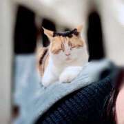 みなみ 嬉しいサプライズ🐱ᩚ 豊満奉仕倶楽部