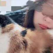 ヒメ日記 2026/02/26 16:39 投稿 みなみ 豊満奉仕倶楽部