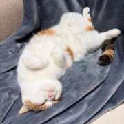 ヒメ日記 2026/03/23 12:09 投稿 みなみ 豊満奉仕倶楽部