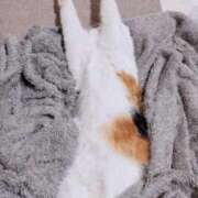 ヒメ日記 2026/04/21 12:09 投稿 みなみ 豊満奉仕倶楽部