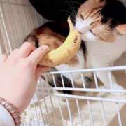 ヒメ日記 2026/06/14 10:09 投稿 みなみ 豊満奉仕倶楽部