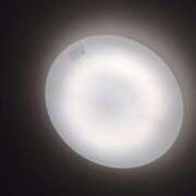 まり 楽しみで早くに起きちゃいました フレッシュハニー