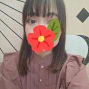 ヒメ日記 2025/08/21 22:04 投稿 桜咲なぎ 手コキ研修塾