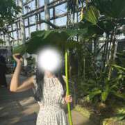 ヒメ日記 2025/05/06 19:12 投稿 雪乃 チューリップ姫路店