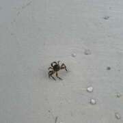 ヒメ日記 2025/08/03 23:14 投稿 かすみ 恋の履歴書