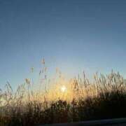 ヒメ日記 2025/09/19 23:15 投稿 かすみ 恋の履歴書