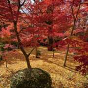 ヒメ日記 2025/10/29 14:28 投稿 かすみ 恋の履歴書