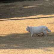 ヒメ日記 2025/11/27 17:50 投稿 かすみ 恋の履歴書