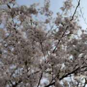 ヒメ日記 2026/04/06 18:22 投稿 かすみ 恋の履歴書