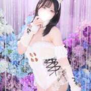 ヒメ日記 2025/06/13 05:05 投稿 ゆうり JAPAN CLUB BUNNY LOUNGE