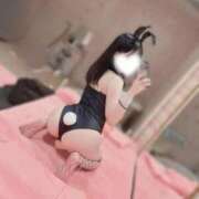 ヒメ日記 2025/07/26 15:00 投稿 ゆうり JAPAN CLUB BUNNY LOUNGE