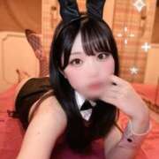 ヒメ日記 2025/08/14 05:00 投稿 ゆうり JAPAN CLUB BUNNY LOUNGE