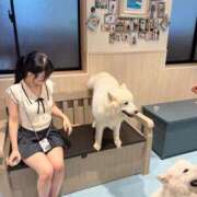 ヒメ日記 2025/08/16 09:00 投稿 ゆうり JAPAN CLUB BUNNY LOUNGE