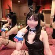 ヒメ日記 2025/09/06 15:00 投稿 ゆうり JAPAN CLUB BUNNY LOUNGE