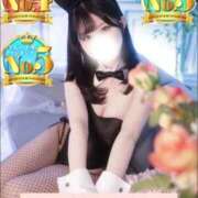 ヒメ日記 2025/10/03 05:00 投稿 ゆうり JAPAN CLUB BUNNY LOUNGE