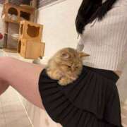 ヒメ日記 2025/10/16 12:00 投稿 ゆうり JAPAN CLUB BUNNY LOUNGE