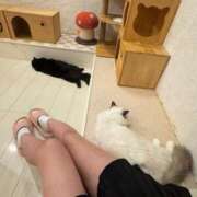 ヒメ日記 2025/10/18 06:01 投稿 ゆうり JAPAN CLUB BUNNY LOUNGE