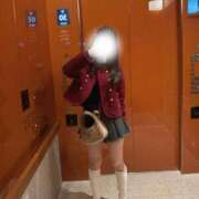 ヒメ日記 2025/11/10 15:00 投稿 ゆうり JAPAN CLUB BUNNY LOUNGE