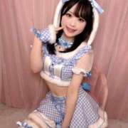 ヒメ日記 2025/11/15 15:00 投稿 ゆうり JAPAN CLUB BUNNY LOUNGE