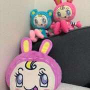 ヒメ日記 2025/11/18 06:00 投稿 ゆうり JAPAN CLUB BUNNY LOUNGE