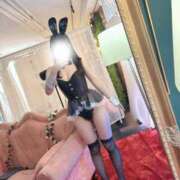 ヒメ日記 2025/12/18 10:30 投稿 ゆうり JAPAN CLUB BUNNY LOUNGE