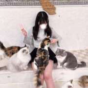 ヒメ日記 2026/02/22 12:15 投稿 ゆうり JAPAN CLUB BUNNY LOUNGE