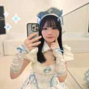 ヒメ日記 2026/02/24 16:15 投稿 ゆうり JAPAN CLUB BUNNY LOUNGE