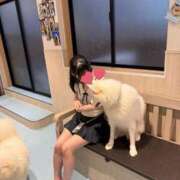 ヒメ日記 2026/02/28 18:15 投稿 ゆうり JAPAN CLUB BUNNY LOUNGE