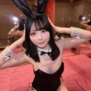 ヒメ日記 2026/04/15 21:30 投稿 ゆうり JAPAN CLUB BUNNY LOUNGE