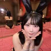 ヒメ日記 2026/04/29 10:01 投稿 ゆうり JAPAN CLUB BUNNY LOUNGE