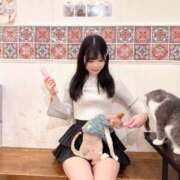 ヒメ日記 2026/04/29 17:30 投稿 ゆうり JAPAN CLUB BUNNY LOUNGE