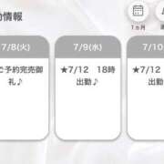 ヒメ日記 2025/07/08 19:43 投稿 みれい【出逢う奇跡SS級美女】 STELLA NEXT－ステラネクスト－