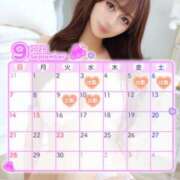 ヒメ日記 2025/09/03 07:05 投稿 みれい【出逢う奇跡SS級美女】 STELLA NEXT－ステラネクスト－