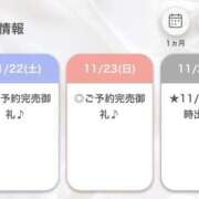 ヒメ日記 2025/11/22 20:04 投稿 みれい【出逢う奇跡SS級美女】 STELLA NEXT－ステラネクスト－