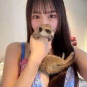 ヒメ日記 2025/04/29 10:39 投稿 れおな JAPAN CLUB BUNNY LOUNGE