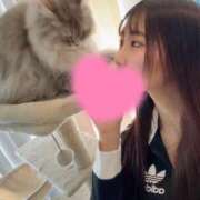 ヒメ日記 2025/04/30 10:16 投稿 れおな JAPAN CLUB BUNNY LOUNGE