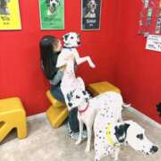 ヒメ日記 2025/11/03 23:23 投稿 れおな JAPAN CLUB BUNNY LOUNGE