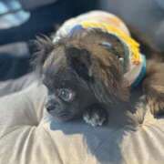 ヒメ日記 2025/11/23 05:14 投稿 れおな JAPAN CLUB BUNNY LOUNGE