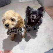 ヒメ日記 2026/01/14 15:38 投稿 れおな JAPAN CLUB BUNNY LOUNGE